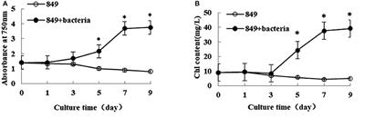 Enhanced Lipid Production in Chlamydomonas reinhardtii by Co-culturing With Azotobacter chroococcum